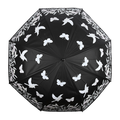 Paraguas Magico Pajaros que Cambian de Color